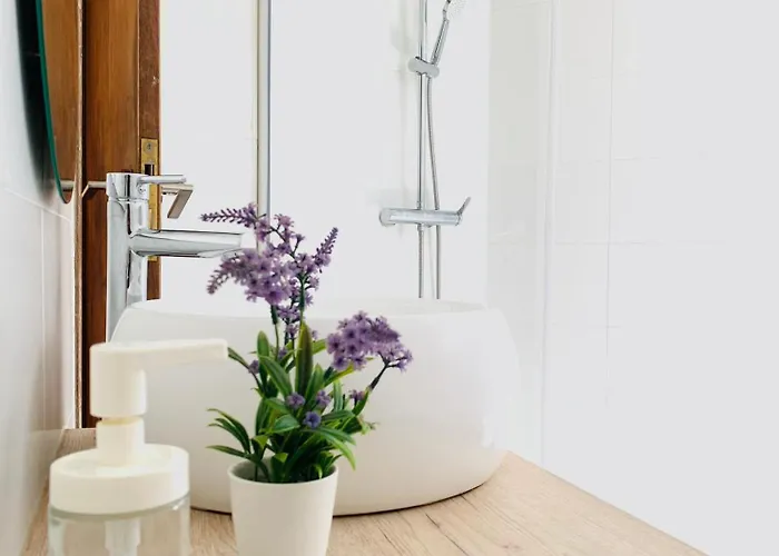 Alojamento de Acomodação e Pequeno-almoço Ra Paraiso 3*